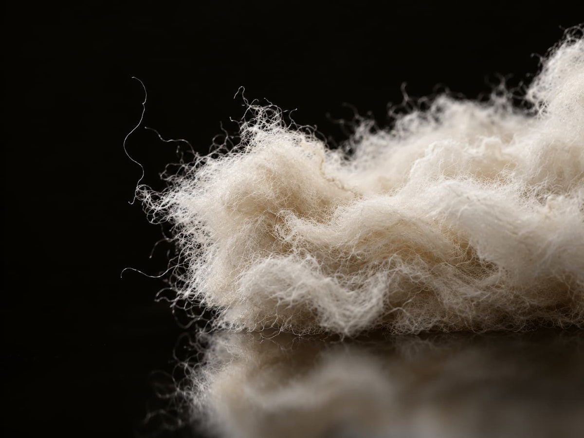 Certified organic wool fibers close up