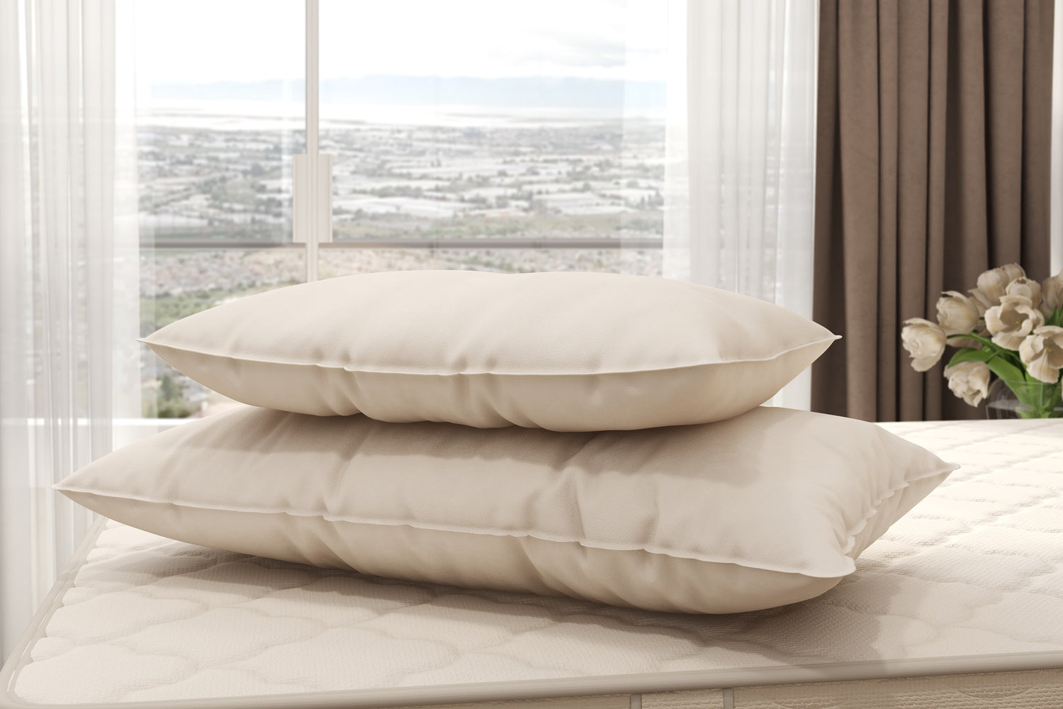 Certified Organic Wool Pillow