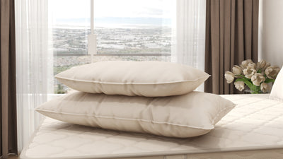 Certified Organic Wool Pillow
