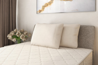 Embrace Organic Latex Pillow