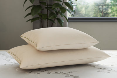 Molded Organic and Natural Latex Pillow