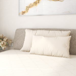 Certified Organic Spiraled Wool Pillow